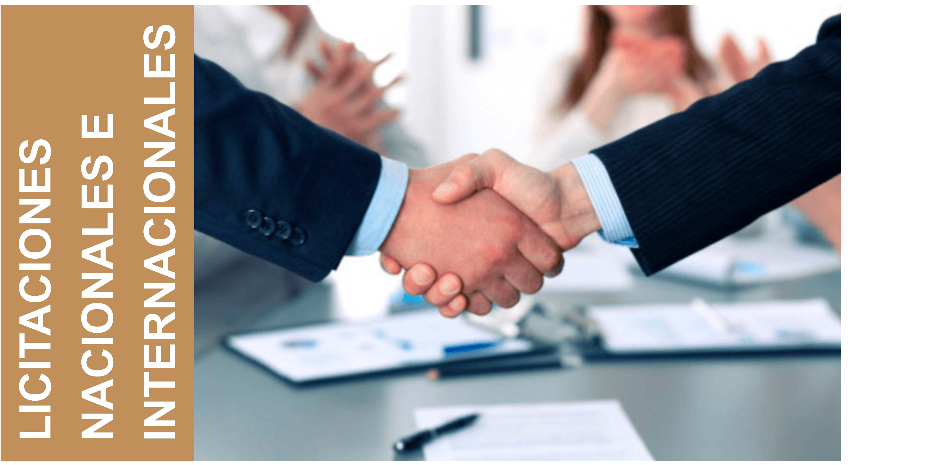 Imagen representativa de licitaciones