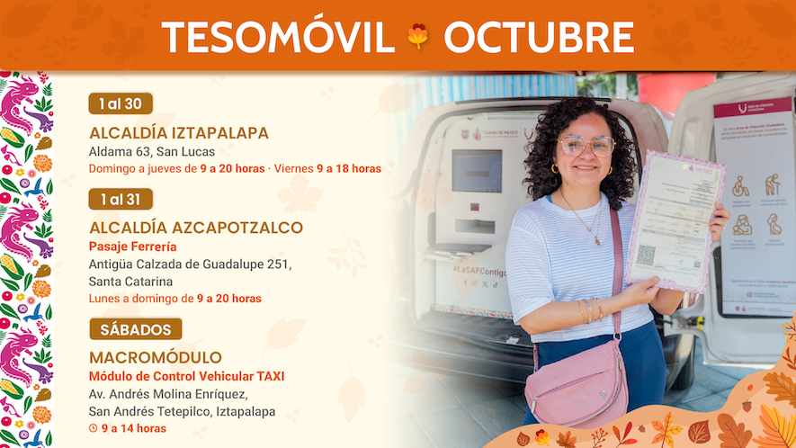 <h4>Tesomóvil</h4>