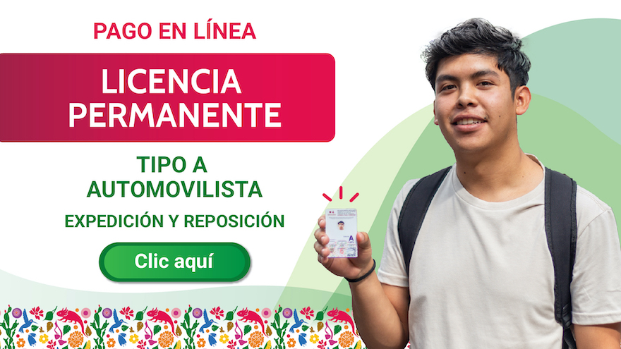 <h4>Licencia tipo A</h4>